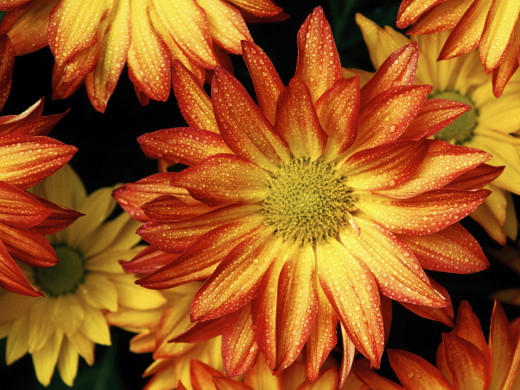 432642 (a): :1600x1200